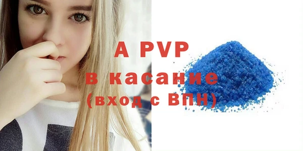 гашик Аркадак