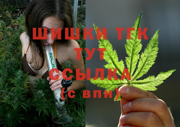 дживик Арсеньев