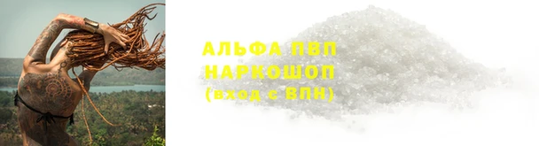 гашик Аркадак