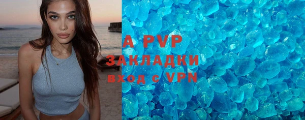 гашик Аркадак