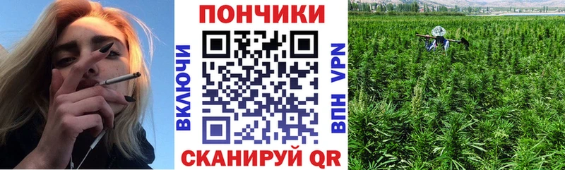 цена наркотик  Сердобск  Бошки Шишки SATIVA & INDICA 